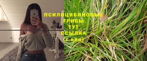 дмт Алексеевка