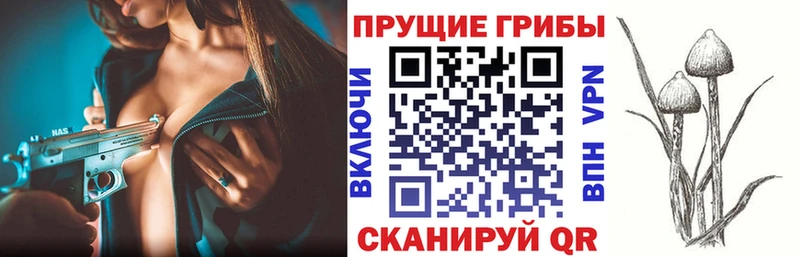купить закладку  Каменногорск  Галлюциногенные грибы мухоморы 
